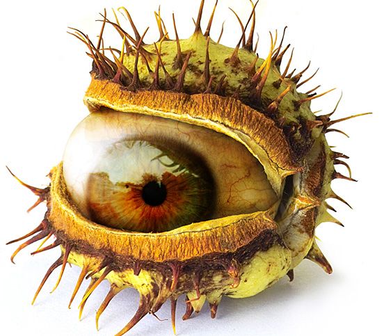 Photo manipulation is just great (52 pics)