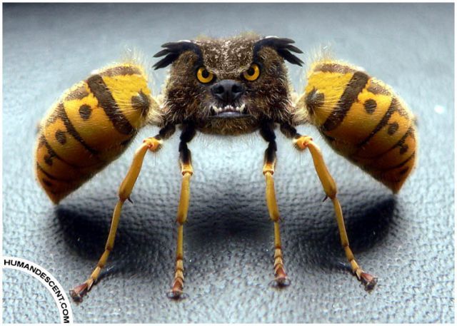 Photo manipulation is just great (52 pics)