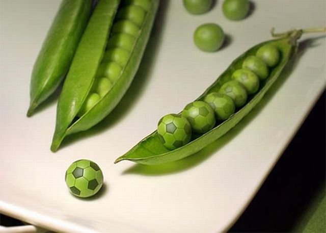 Photo manipulation is just great (52 pics)