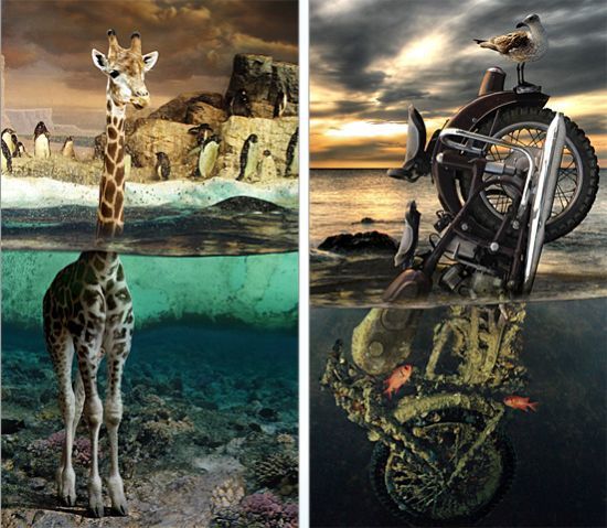 Photo manipulation is just great (52 pics)