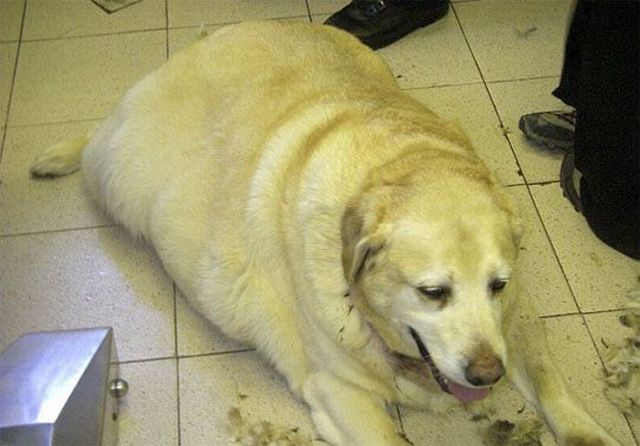 Daily picdump (114 pics)