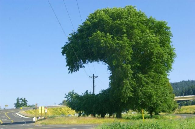 Daily picdump (114 pics)