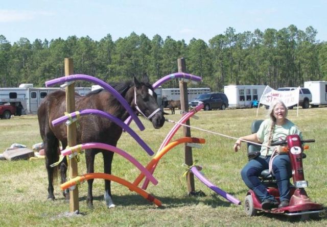 Daily picdump (114 pics)