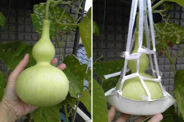 Daily picdump (114 pics)