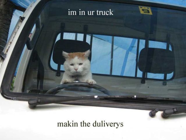 Daily picdump (114 pics)