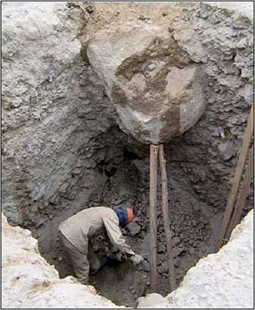 The best experts in safety (36 pics)