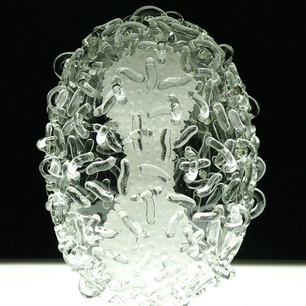 Stunning glass sculptures representing deadly viruses! (11 pics)