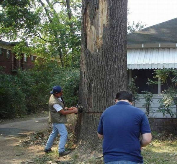How to make some room in your backyard (5 pics)
