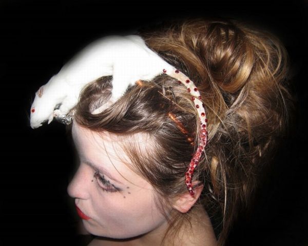 Taxidermy accessories become more and more popular (17 pics)