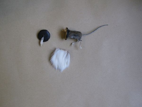 Taxidermy accessories become more and more popular (17 pics)