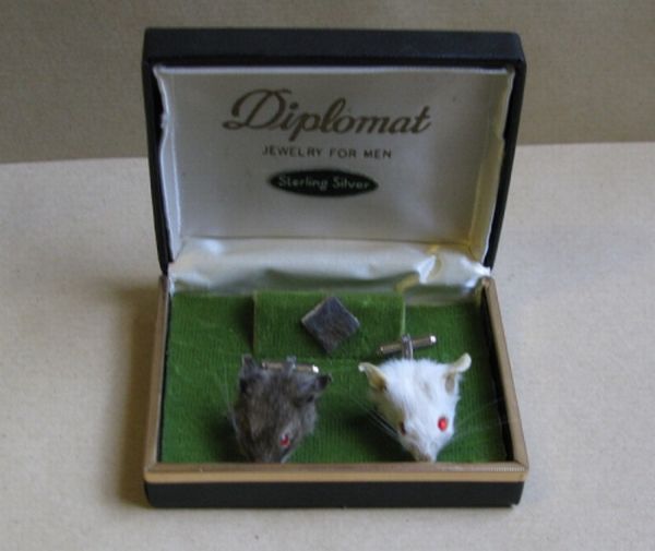 Taxidermy accessories become more and more popular (17 pics)