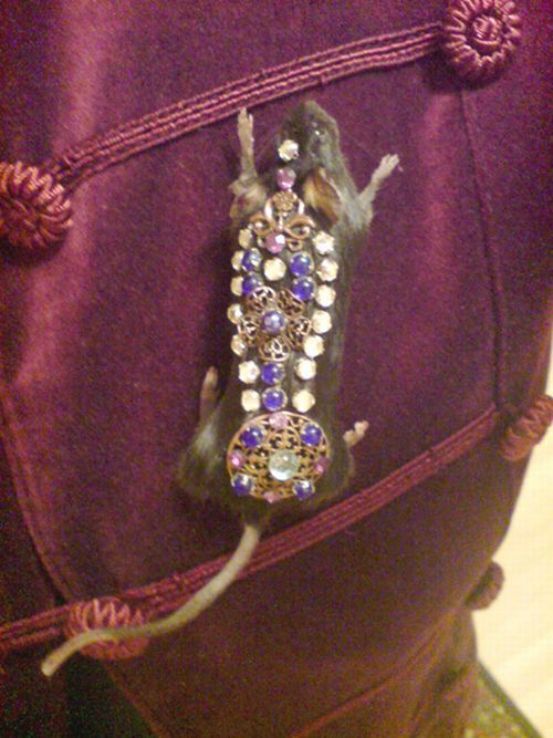 Taxidermy accessories become more and more popular (17 pics)