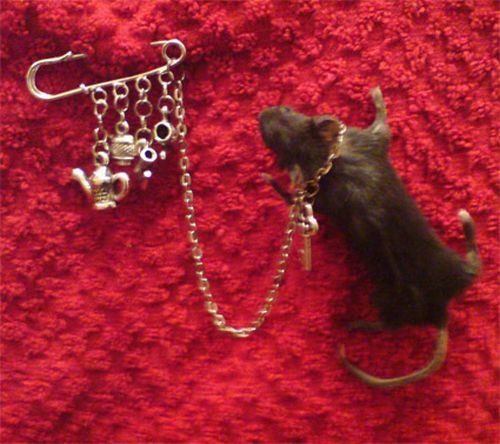 Taxidermy accessories become more and more popular (17 pics)