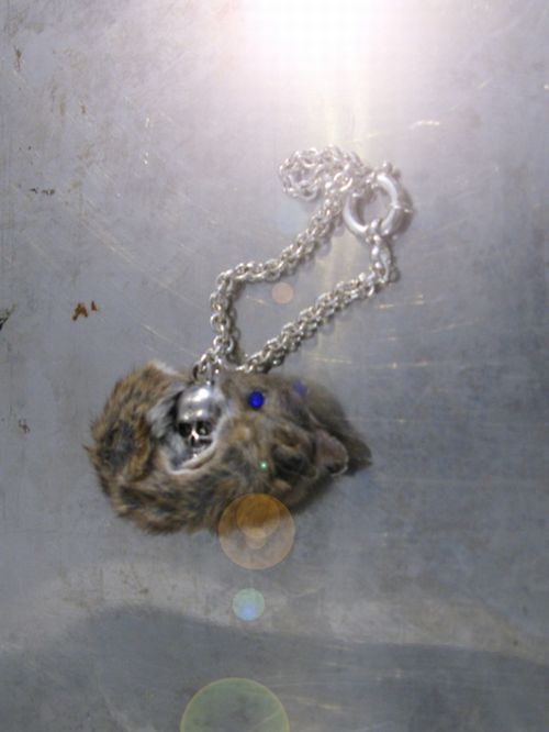 Taxidermy accessories become more and more popular (17 pics)