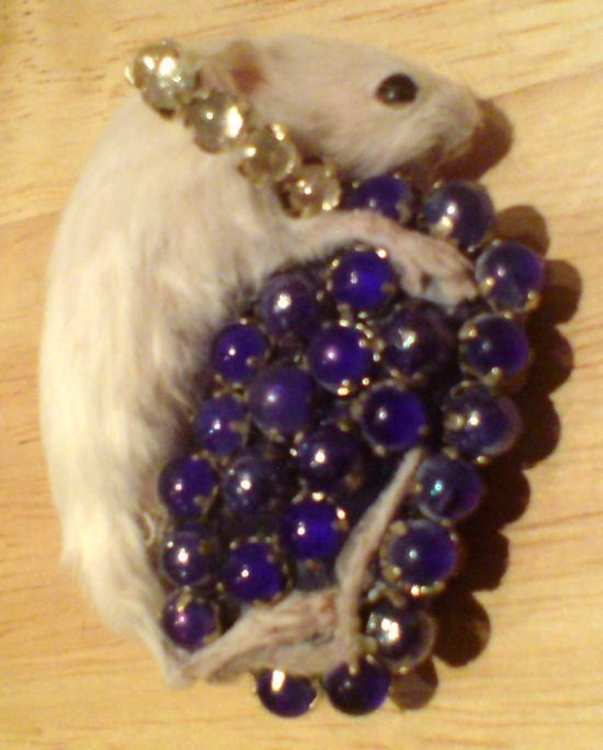 Taxidermy accessories become more and more popular (17 pics)