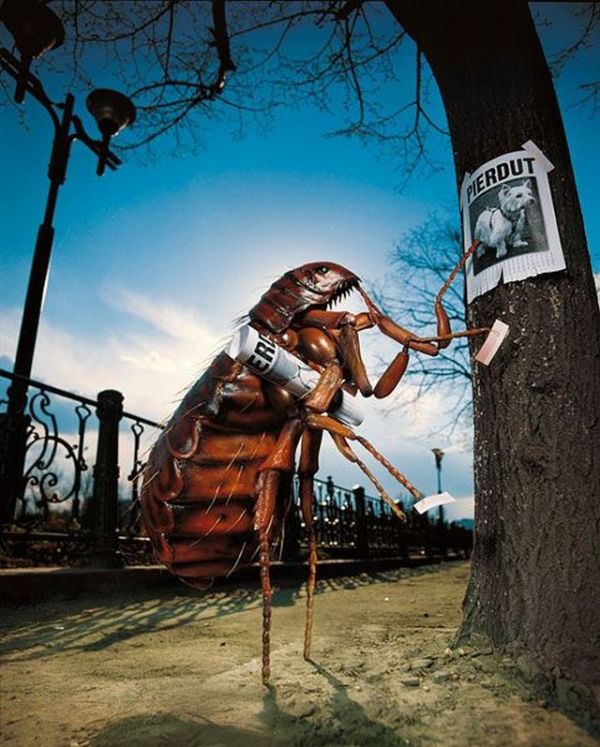 Photo manipulation is just great. Part 2 (64 pics)