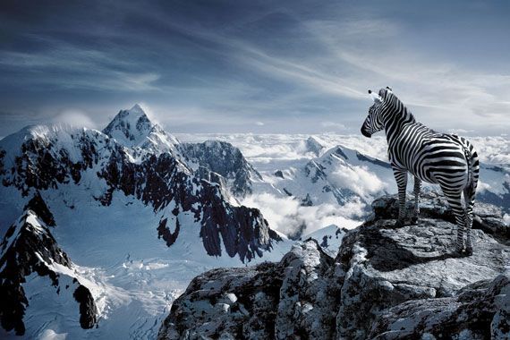 Photo manipulation is just great. Part 2 (64 pics)