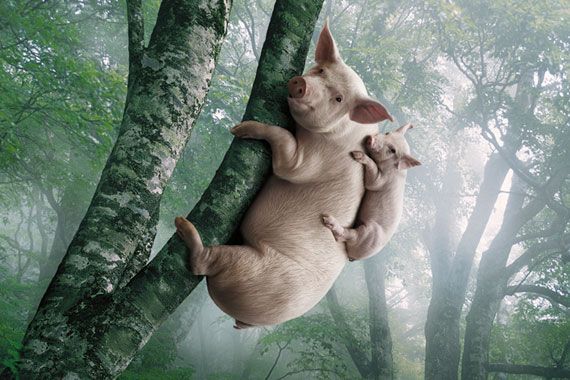 Photo manipulation is just great. Part 2 (64 pics)