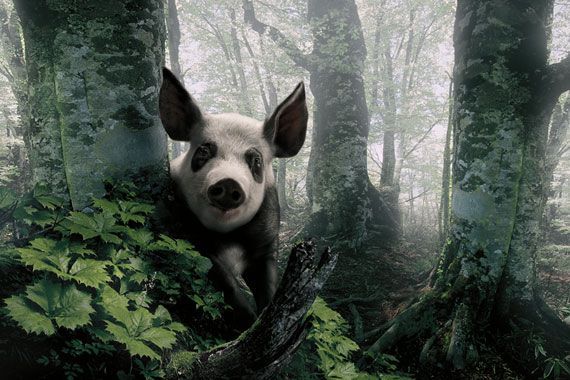 Photo manipulation is just great. Part 2 (64 pics)