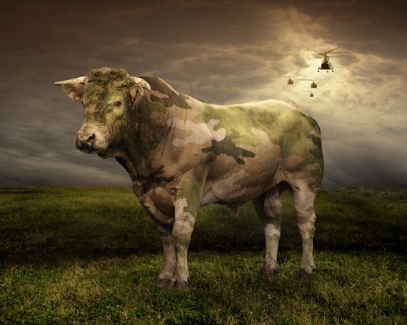 Photo manipulation is just great. Part 2 (64 pics)