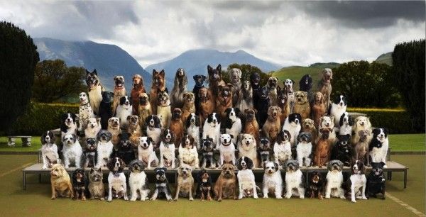 Great creative pictures (36 pics)