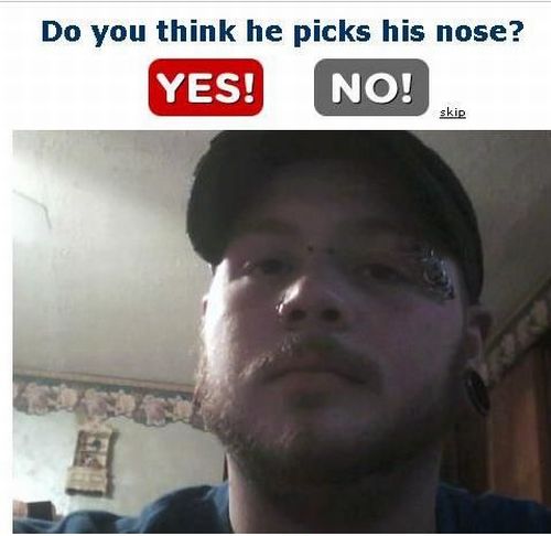Pictures sent by users (49 pics)
