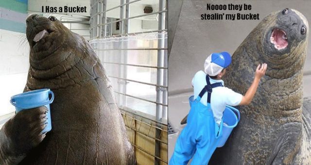 Daily picdump (112 pics)