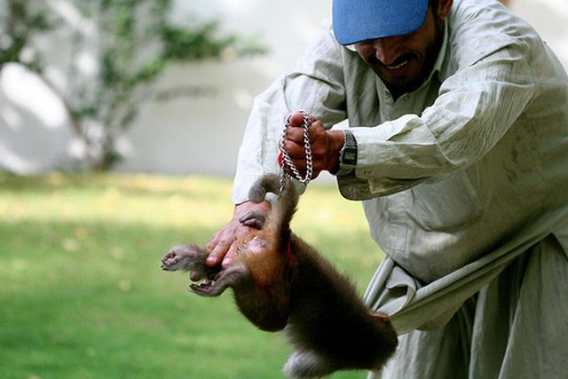 Daily picdump (112 pics)