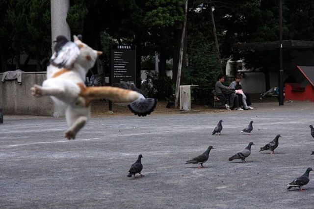 Daily picdump (112 pics)