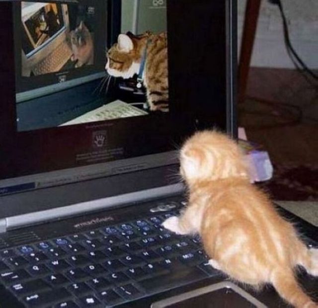 Daily picdump (112 pics)
