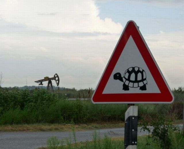 Daily picdump (112 pics)