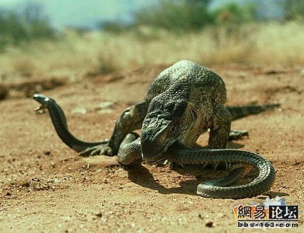 Daily picdump (112 pics)