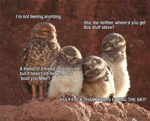 Daily picdump (112 pics)