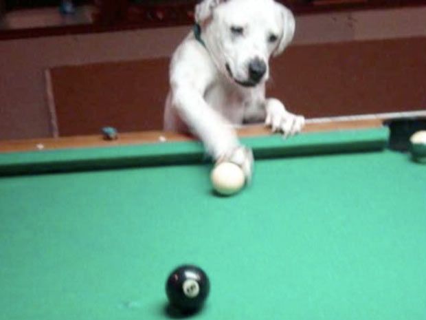 Daily picdump (112 pics)