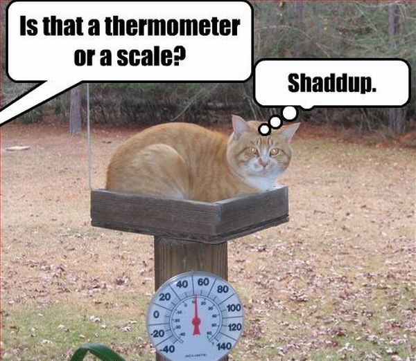 Daily picdump (112 pics)