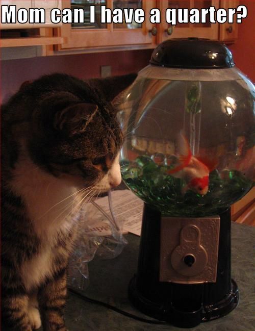 Daily picdump (112 pics)
