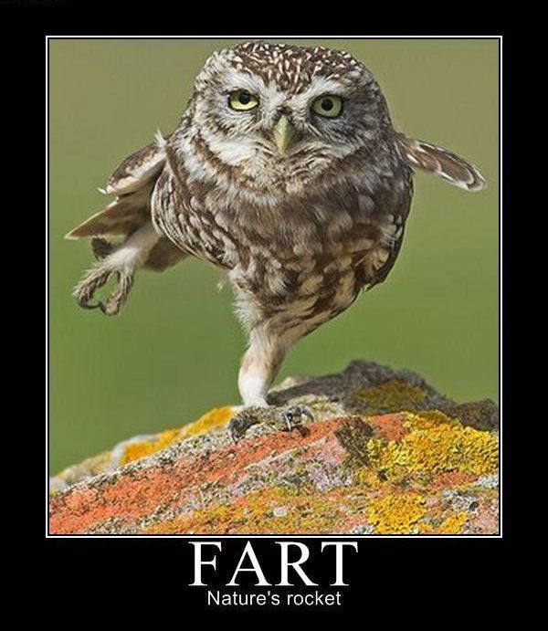 Daily picdump (122 pics)