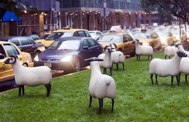 Daily picdump (122 pics)