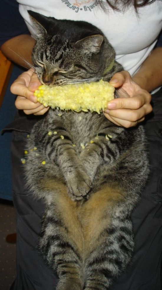 Daily picdump (122 pics)