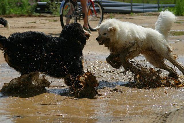 Daily picdump (122 pics)