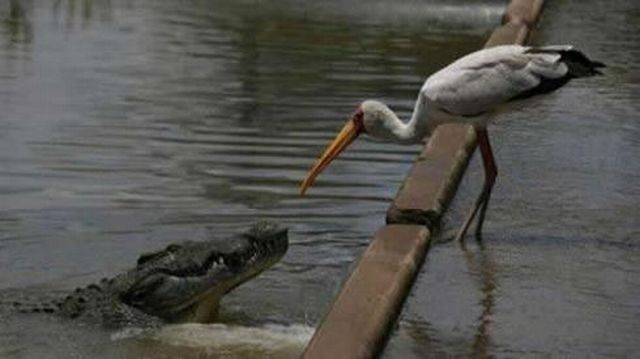 Daily picdump (122 pics)