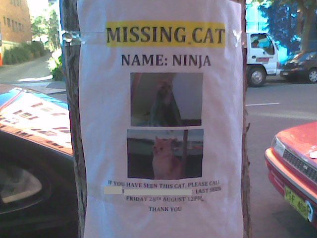 Daily picdump (122 pics)