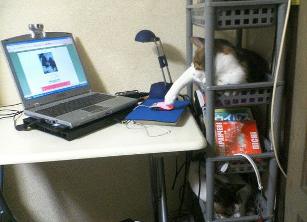 Daily picdump (122 pics)