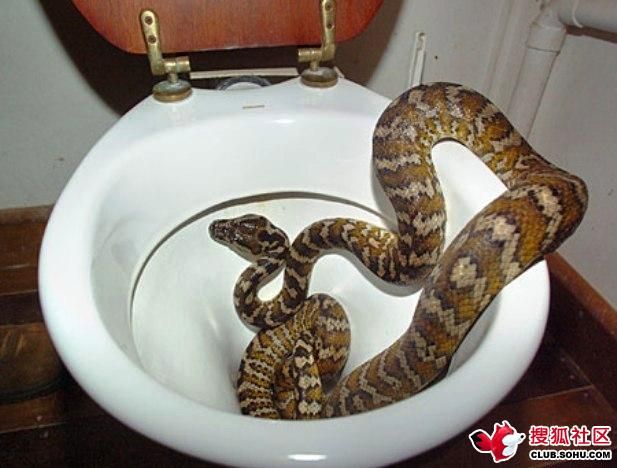 Daily picdump (122 pics)