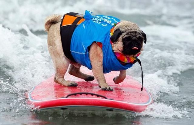 Daily picdump (122 pics)