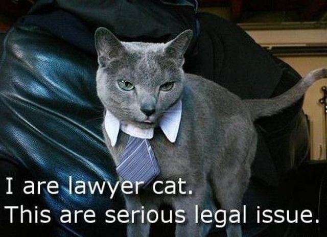 Daily picdump (122 pics)