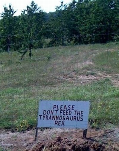 Daily picdump (122 pics)
