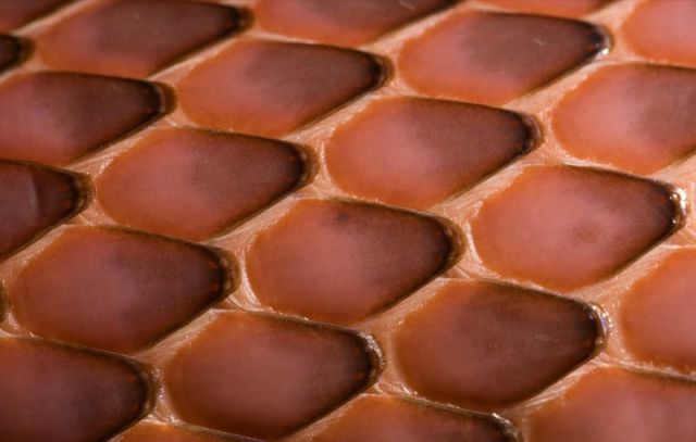 The patterns created by nature (10 pics)