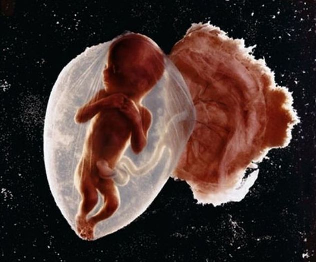 It is possible to catch a miracle and take it on pictures (22 pics)