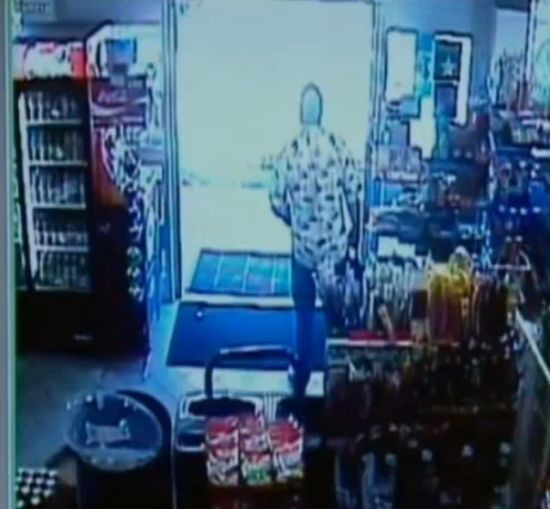 Shop turned into a cattle ranch as a cowboy is moving fugitive cows out! (18 pics)